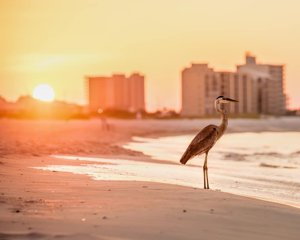 Orange Beach, Alabama