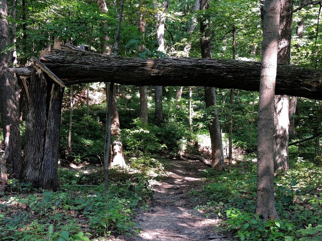 Pilcher Park