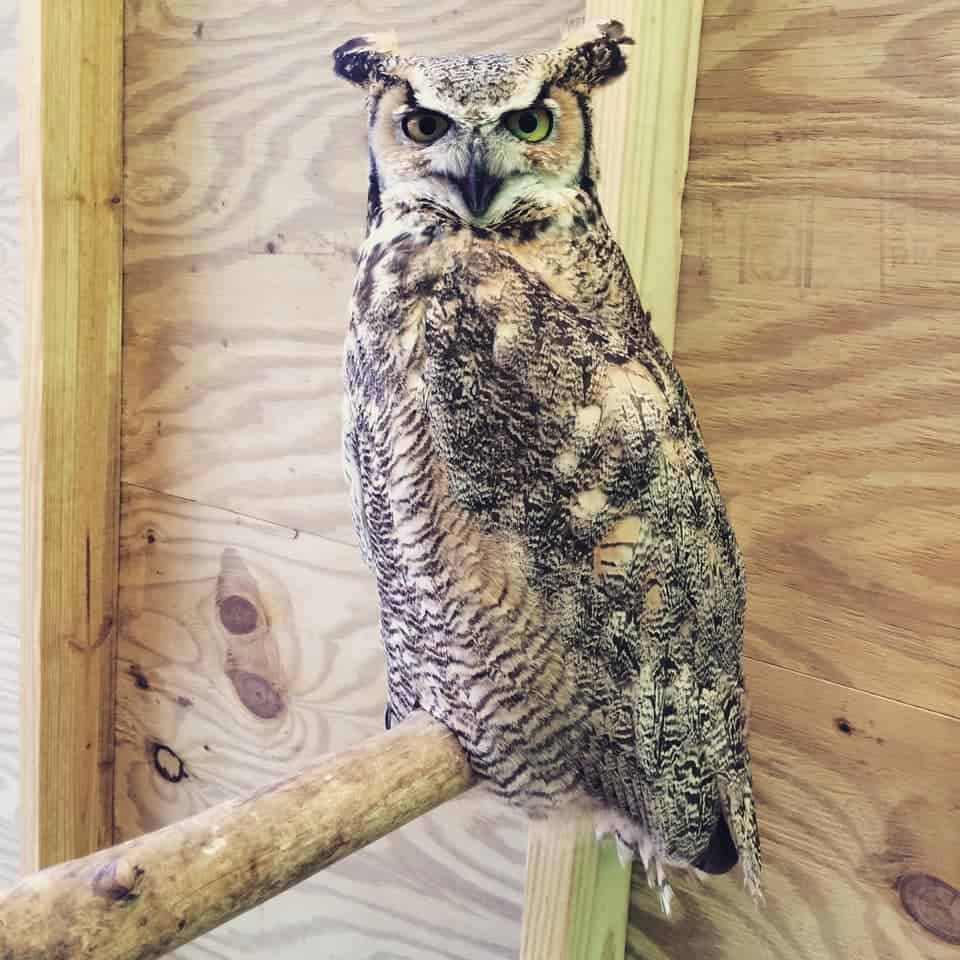Roaring Brook Nature Center