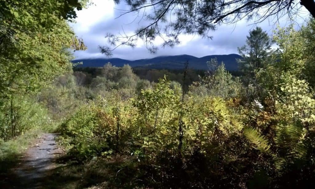 Robert Frost Wayside Area & Trail Ripton