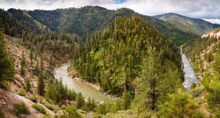 Sawtooth National Forest