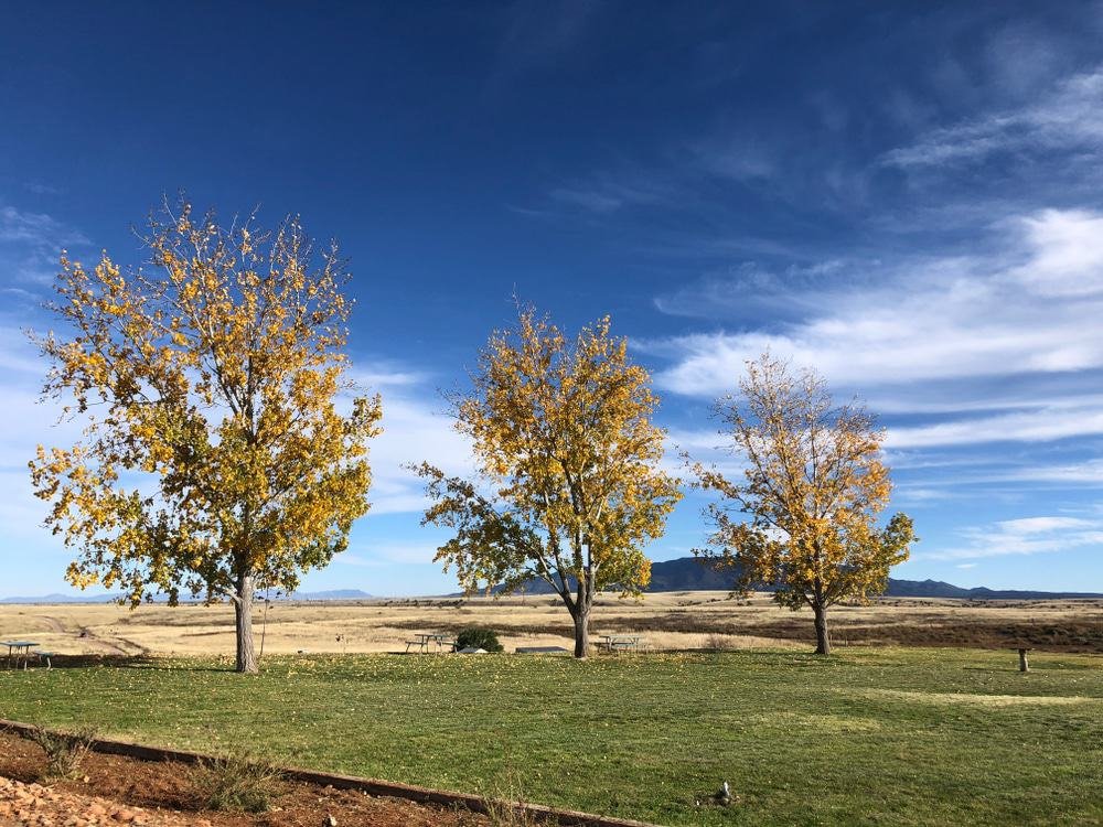 Sonoita Vineyards Winery