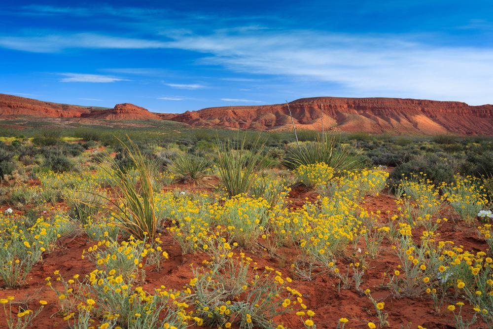 St. George, Utah