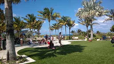 The Great Lawn