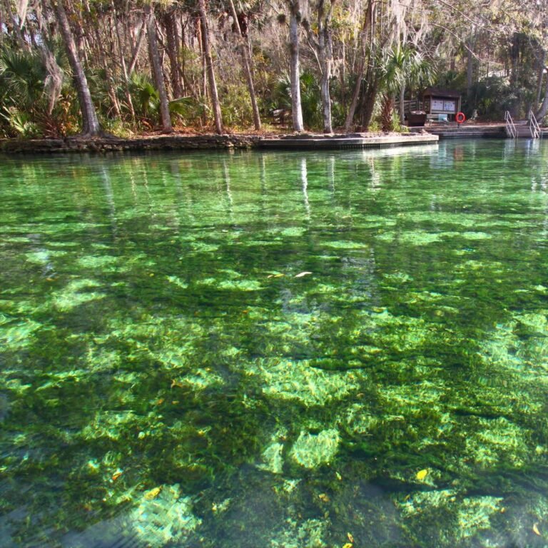 Wekiwa Springs State Park