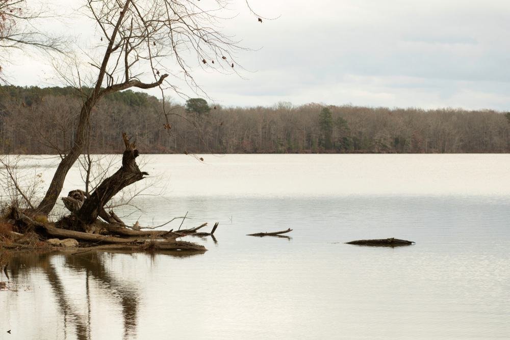 Wheeler Lake, Alabama