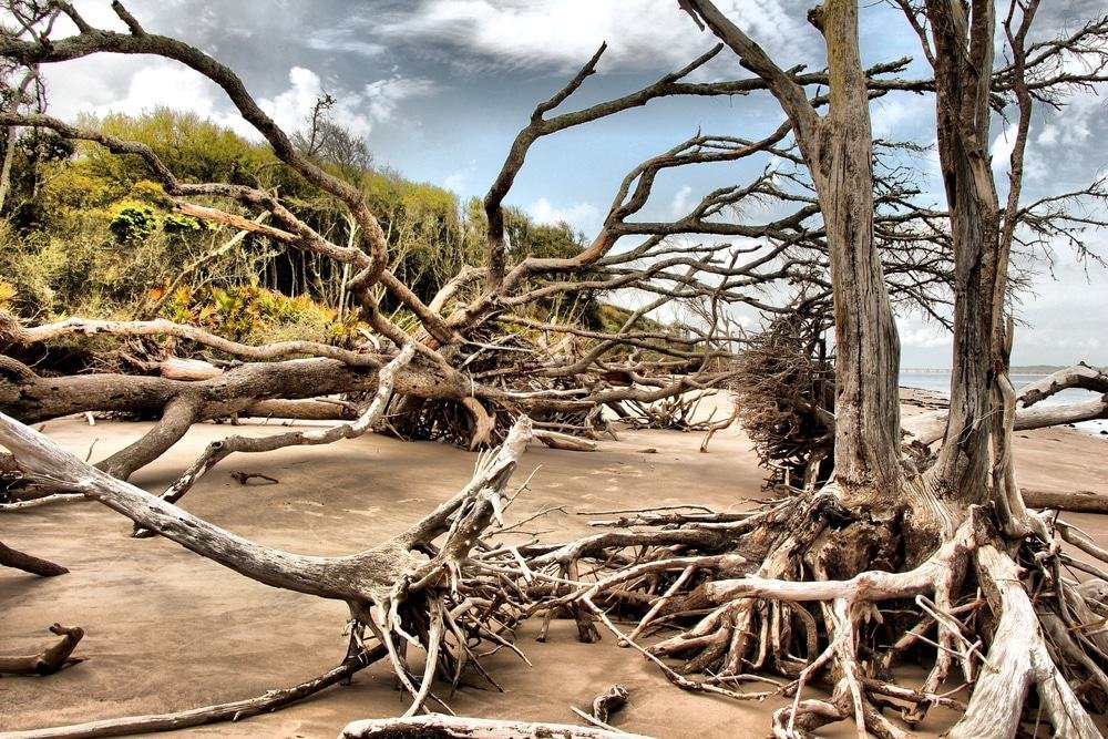 Big Talbot Island