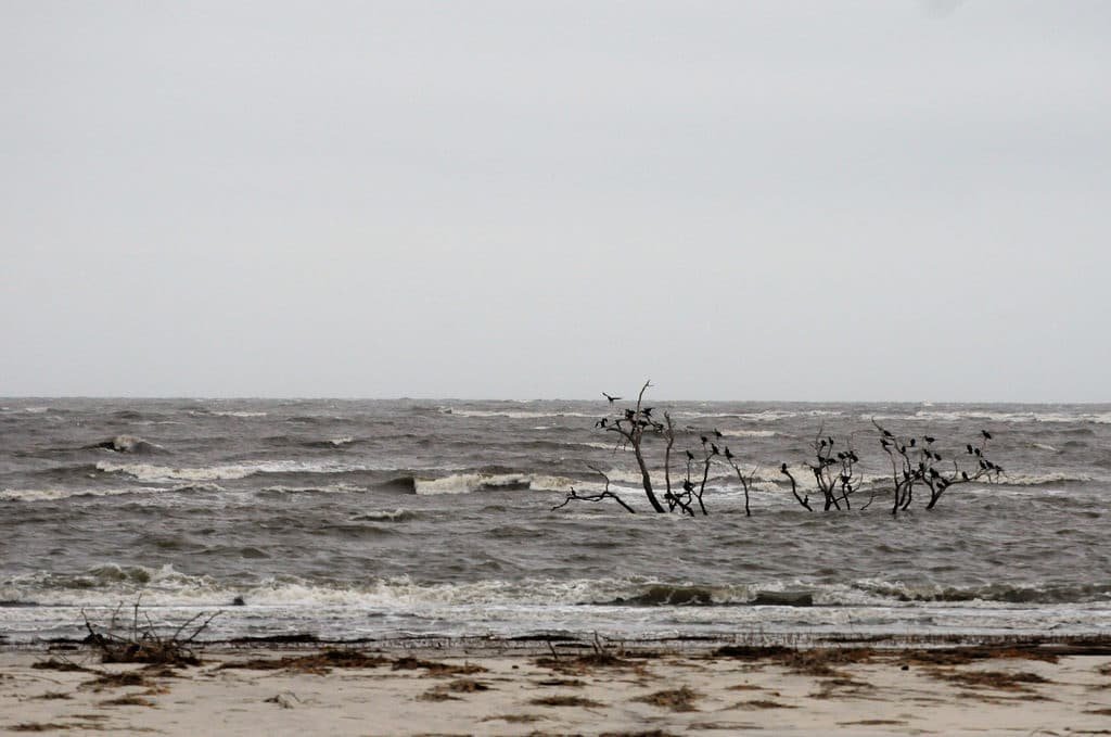Cabretta Beach