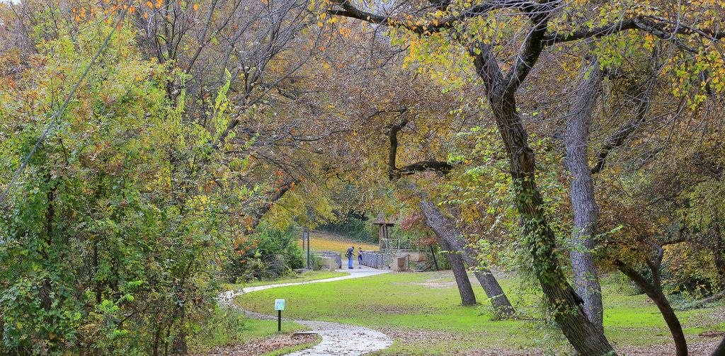 Cameron Park