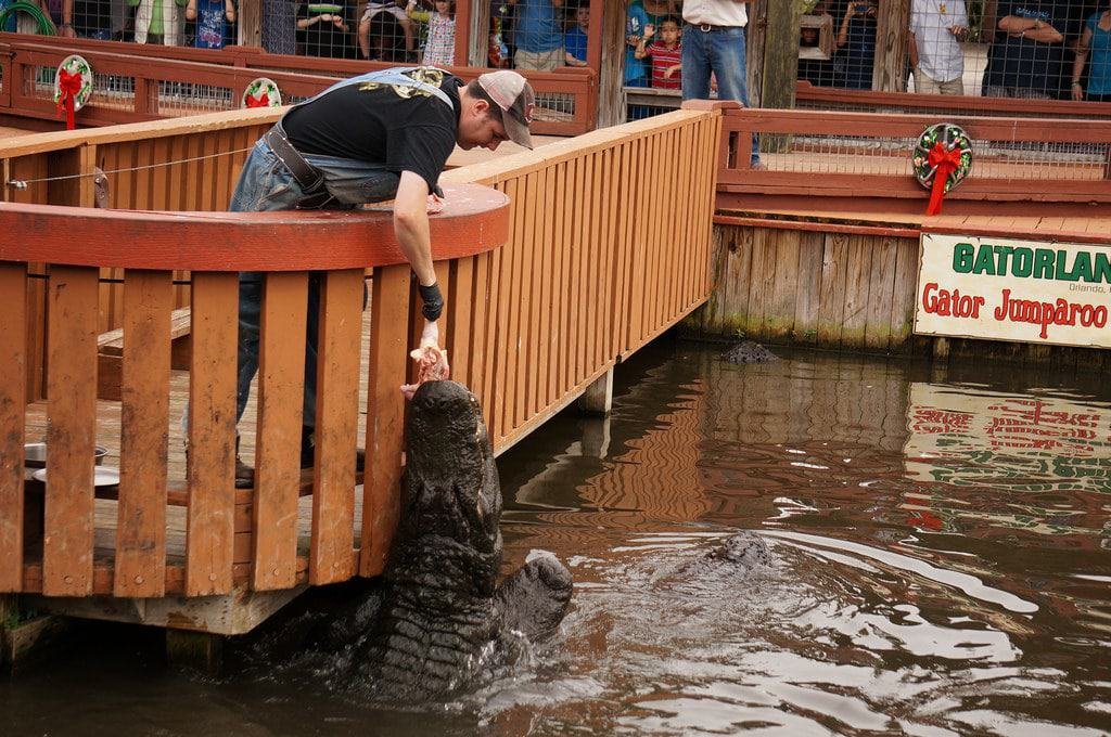 Gatorland