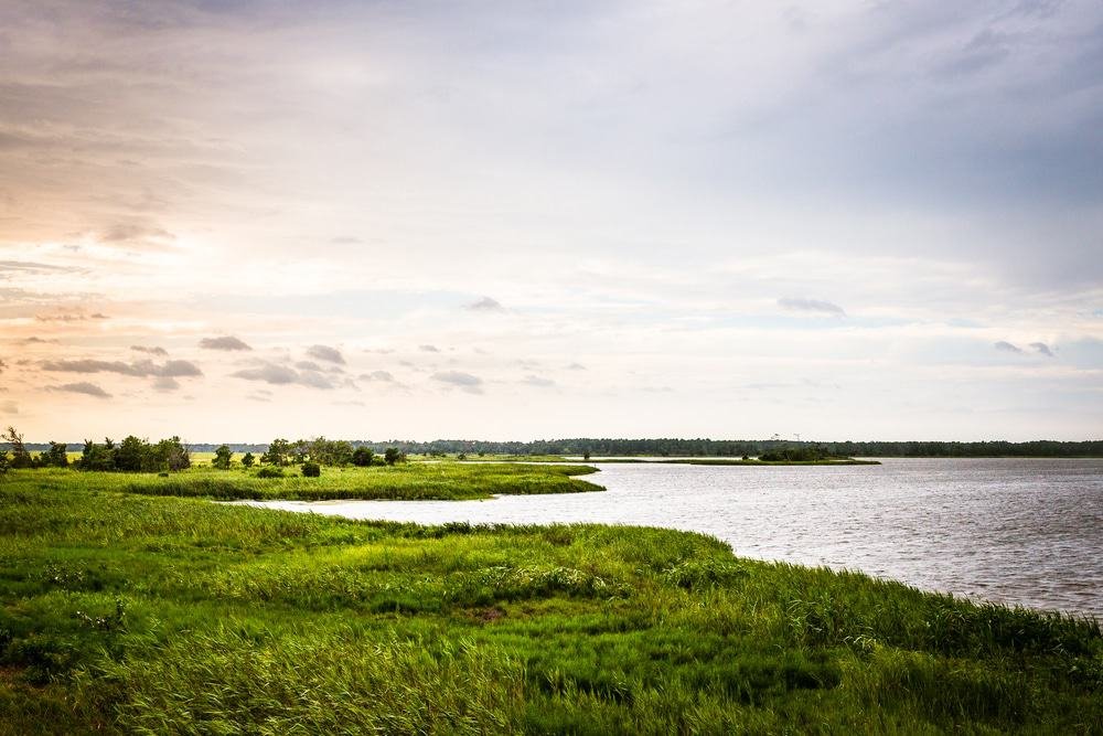 Gordons Pond, Delaware