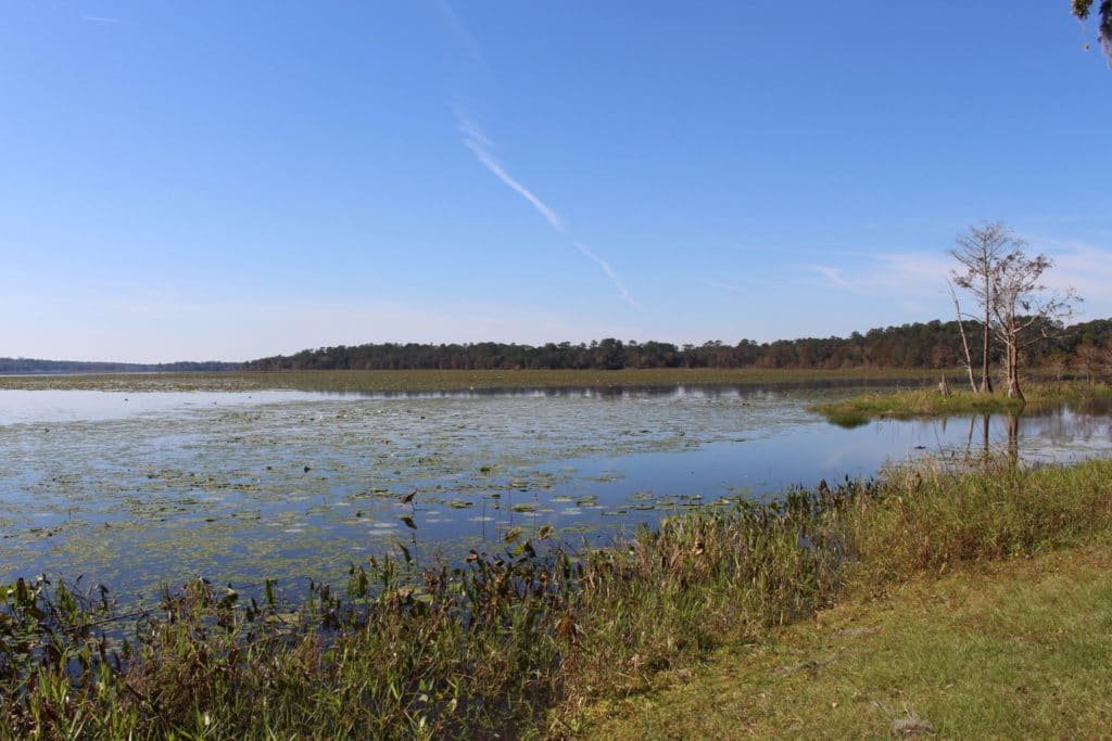 Lake Iamonia