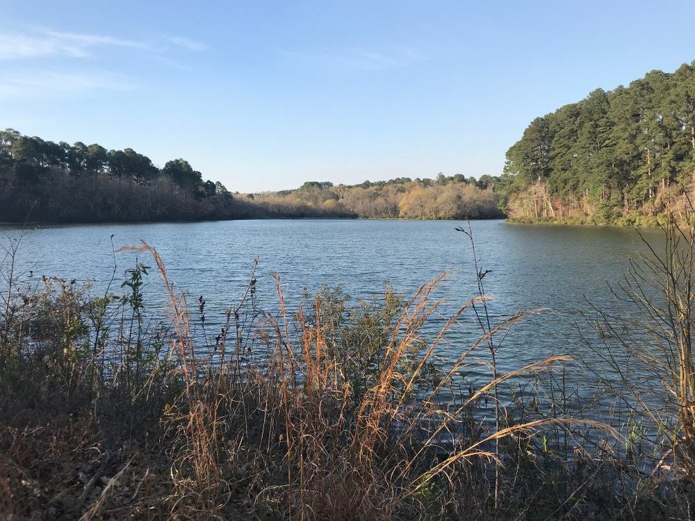 Lake Palestine, Texas