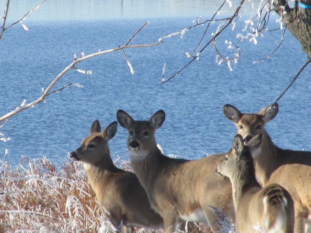 Lake Sakakawea