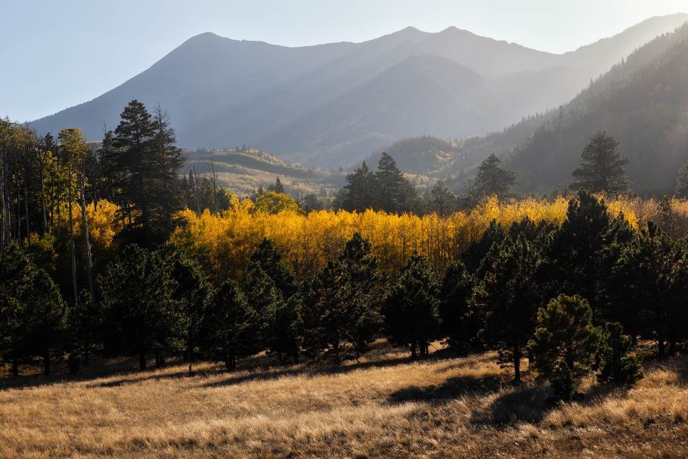 Lockett Meadow, Flagstaff