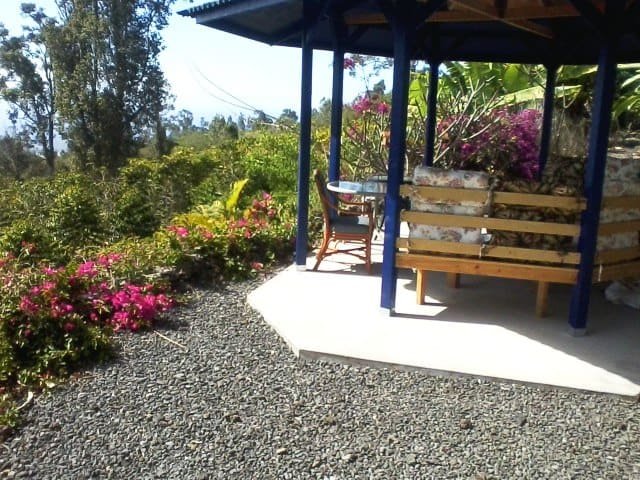 Mango Sunset Bed And Breakfast Inn