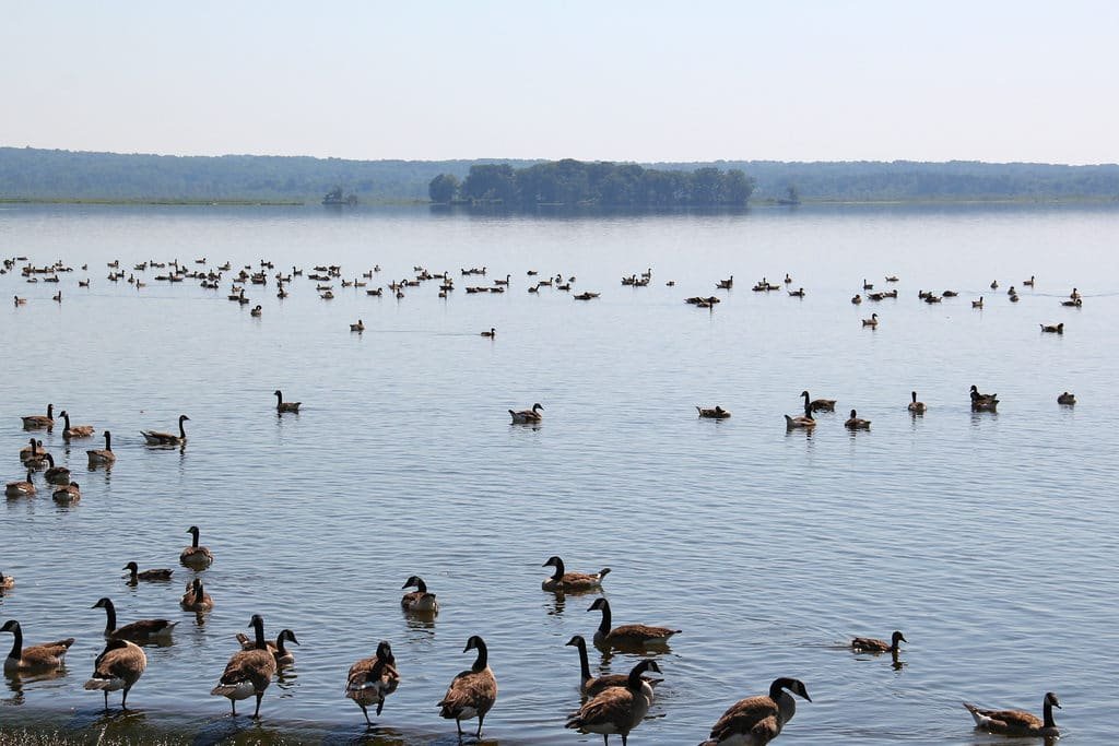 Pymatuning State Park