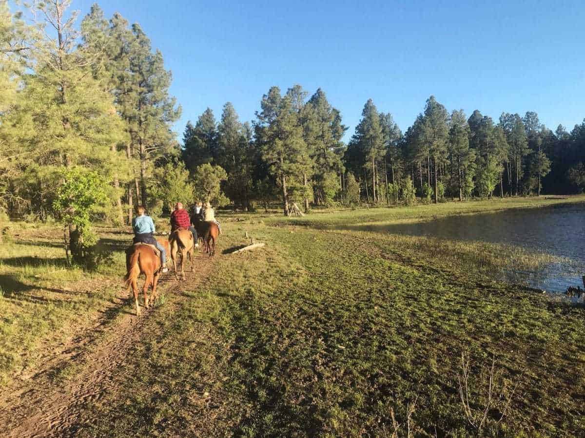 Porter Mountain Stables