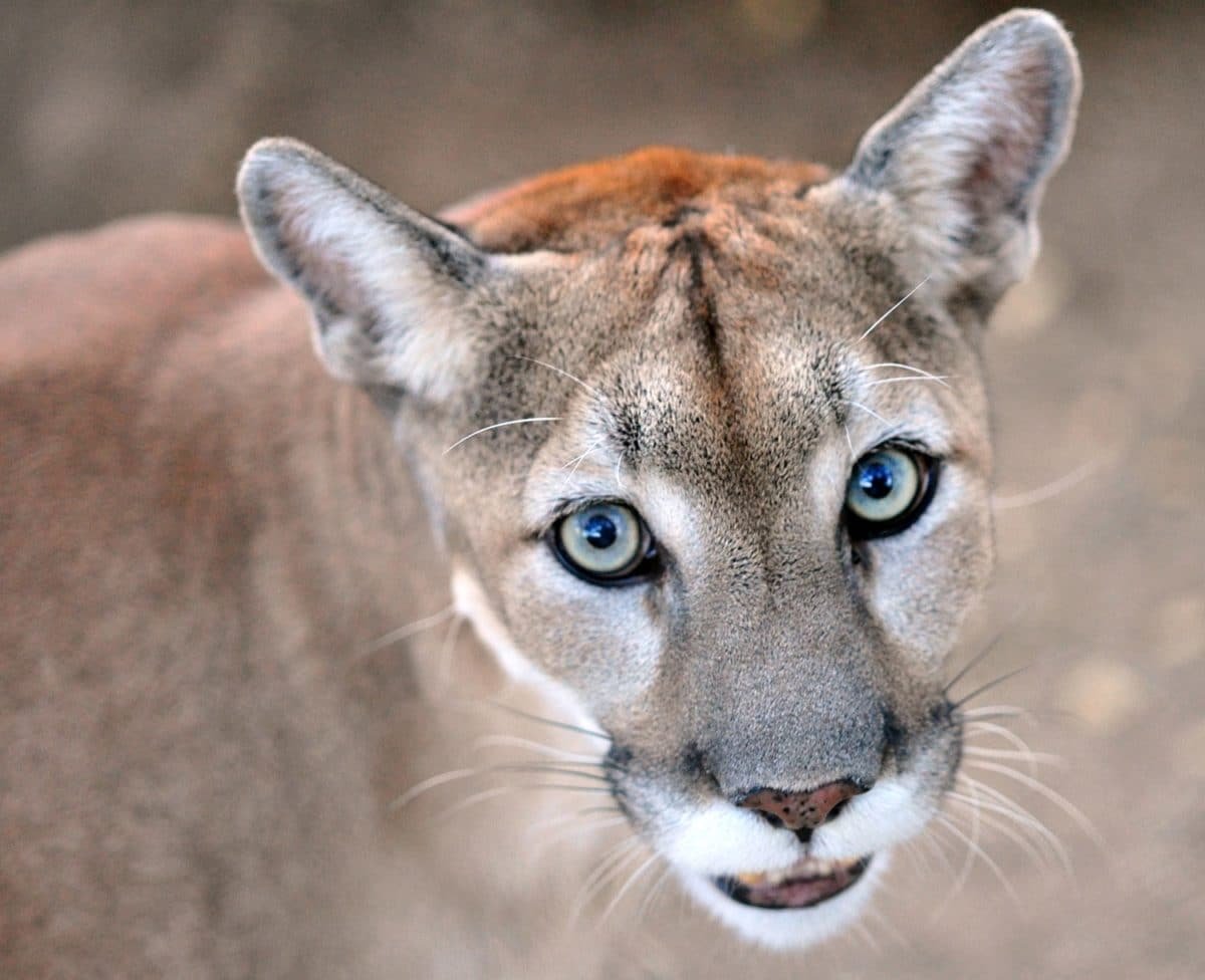 Southwest Wildlife Conservation Area