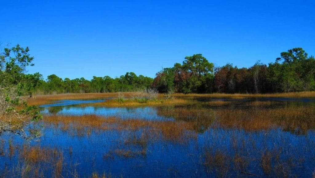 Spruce Bluff Preserve