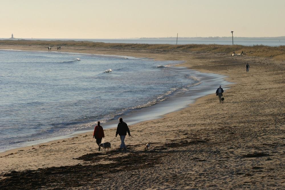 Westerly Town Beach