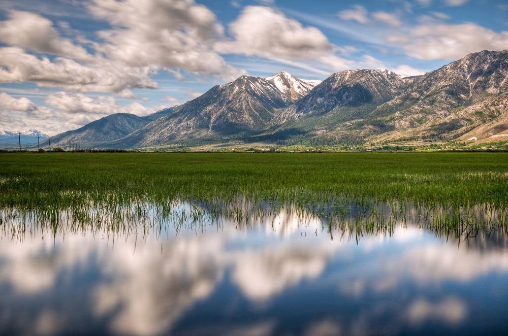 Carson Valley