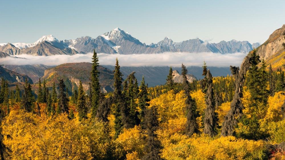 Chugach National Forest