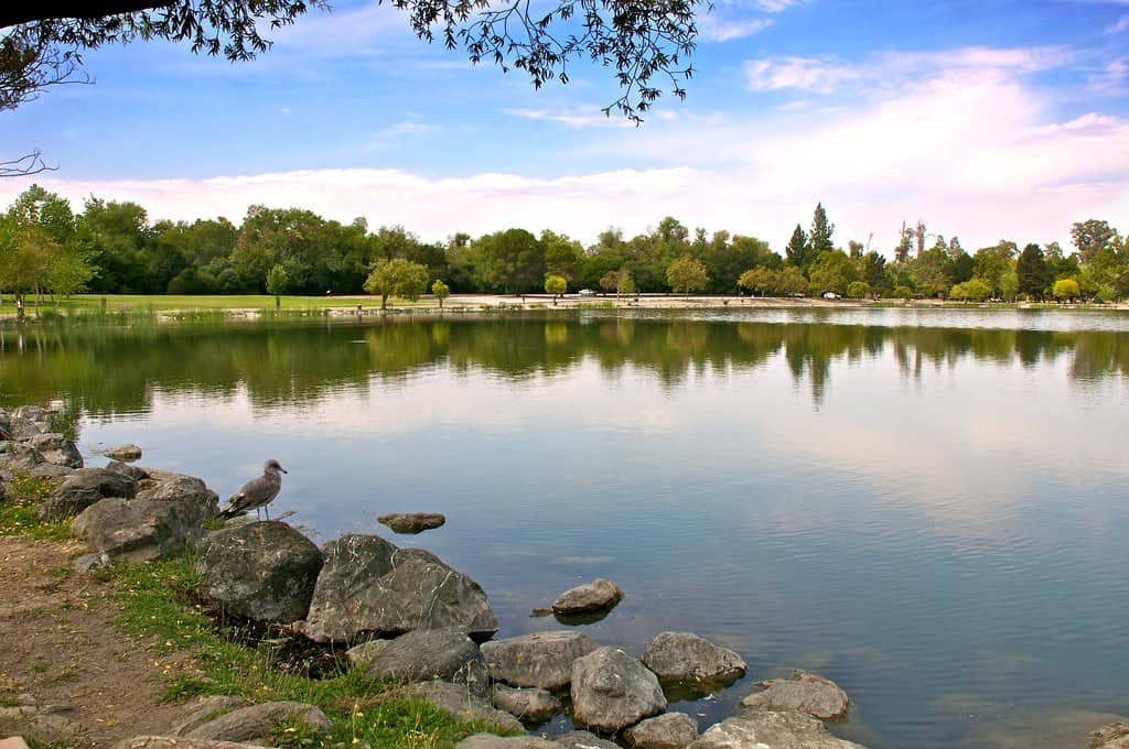 Cottonwood Lake