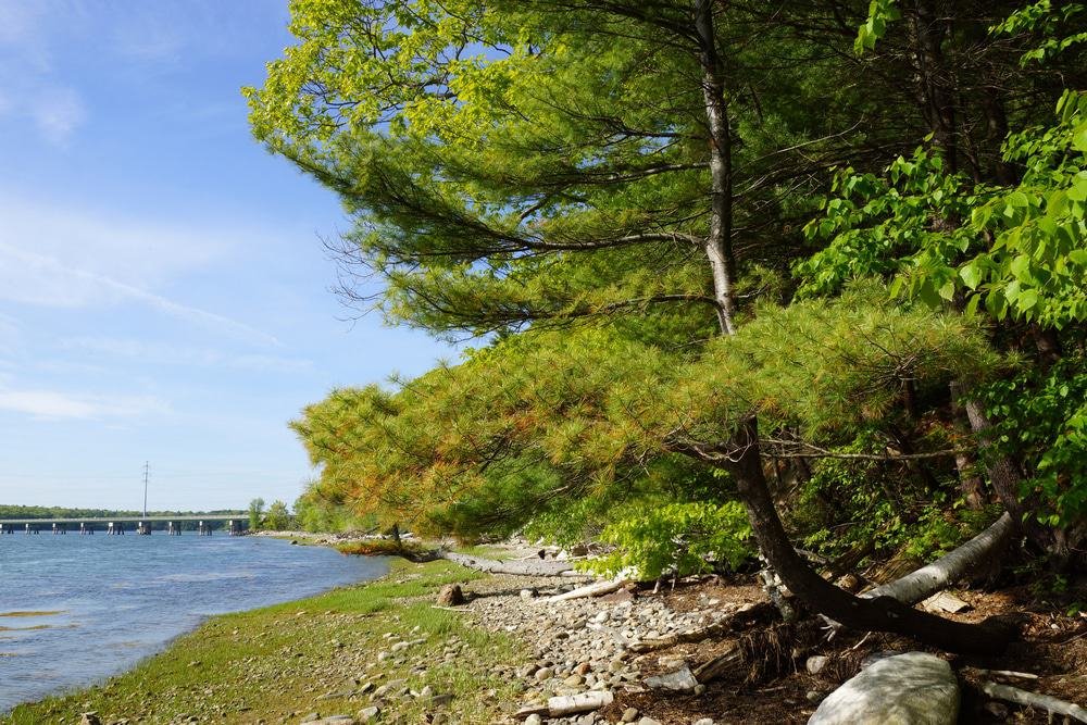 Cousins Island, Maine