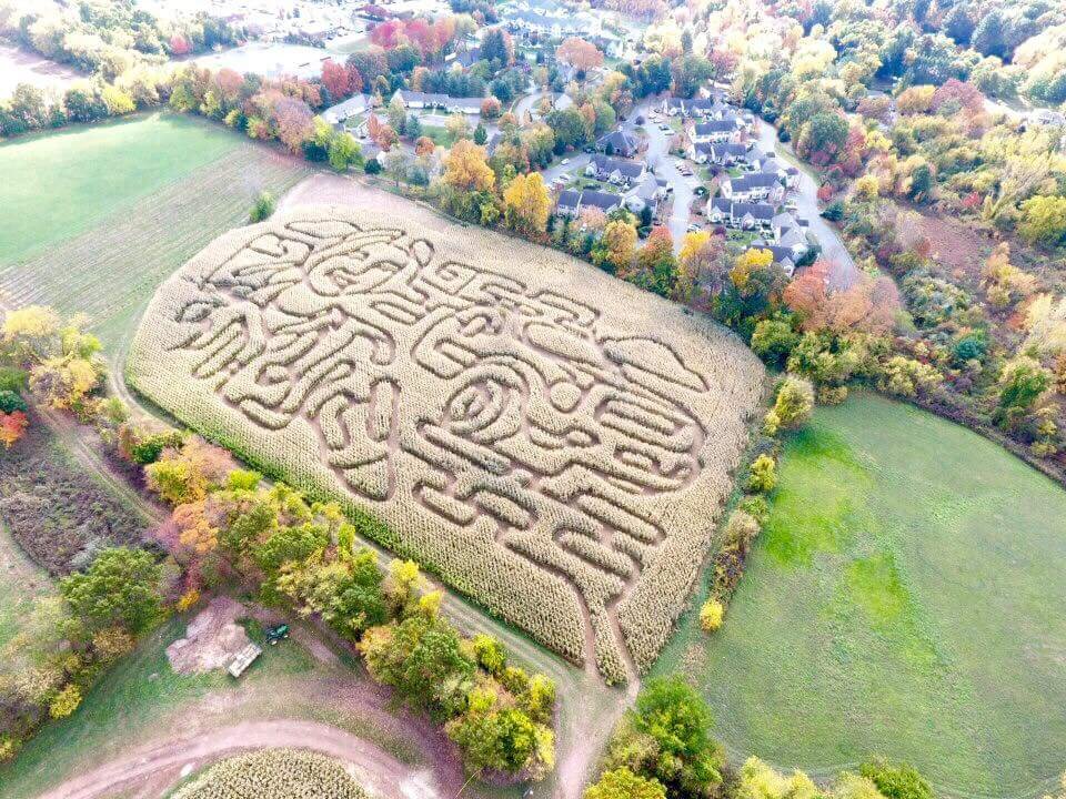 Foster Family Farm