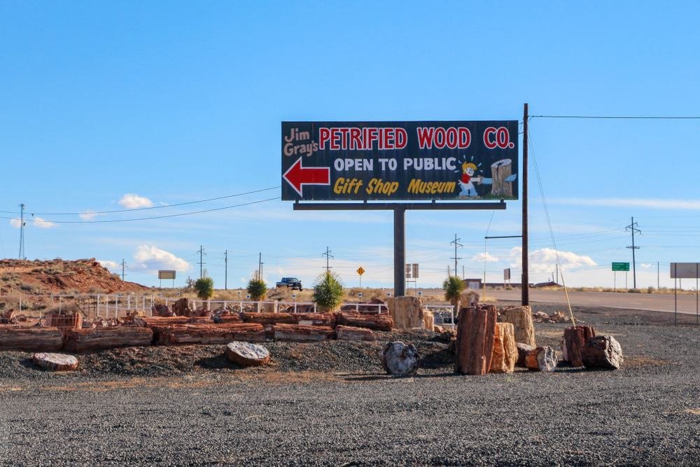 Jim Gray’s Petrified Wood Co.