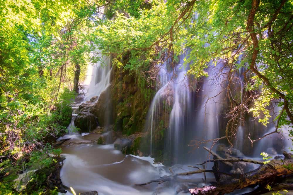 Gorman Falls