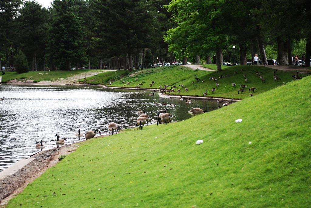 Liberty Park