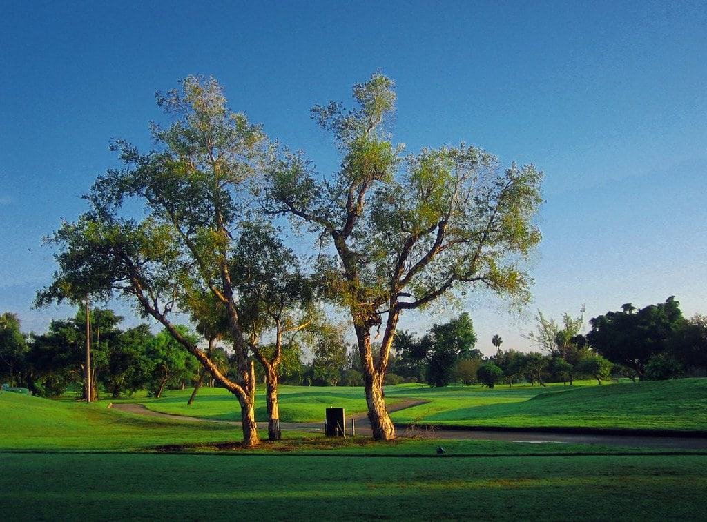 Miami Shores Country Club