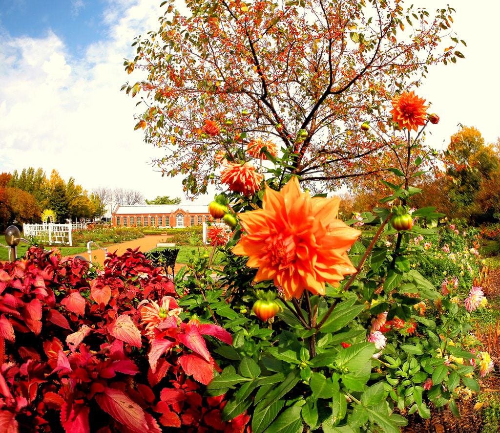 Missouri Botanical Gardens