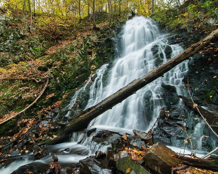 Roaring Brook Park