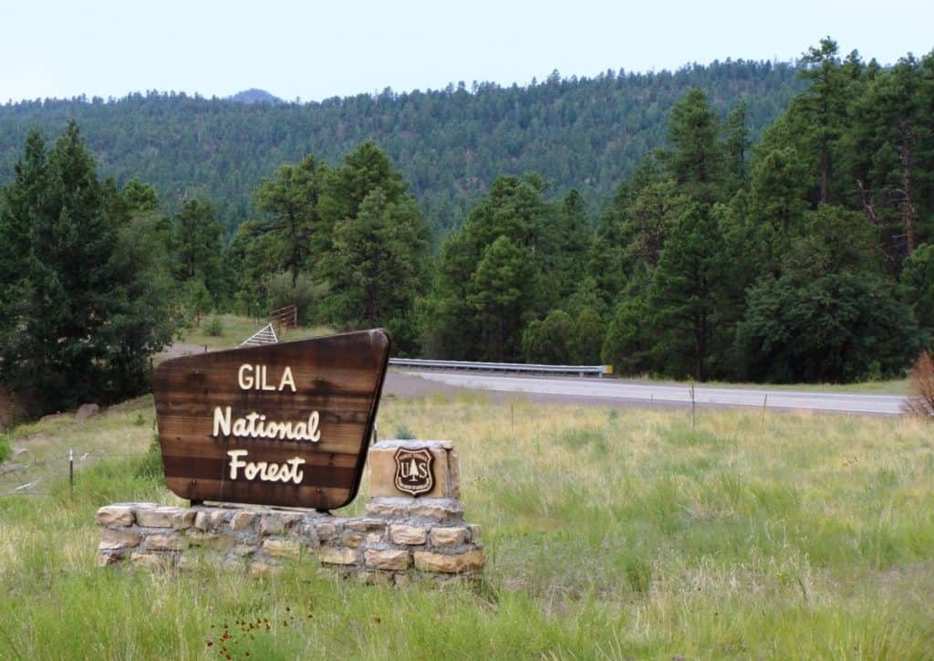 the Gila National Forest