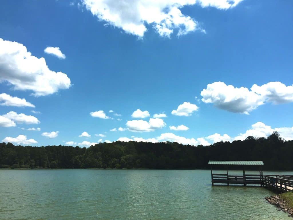 Walker County Lake