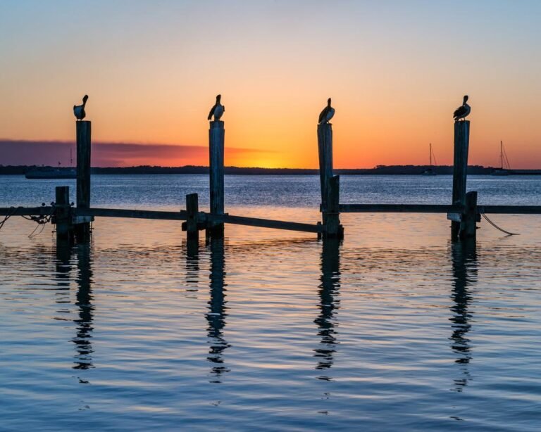 Amelia Island