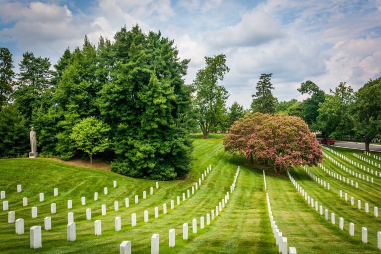 Arlington Cemetery