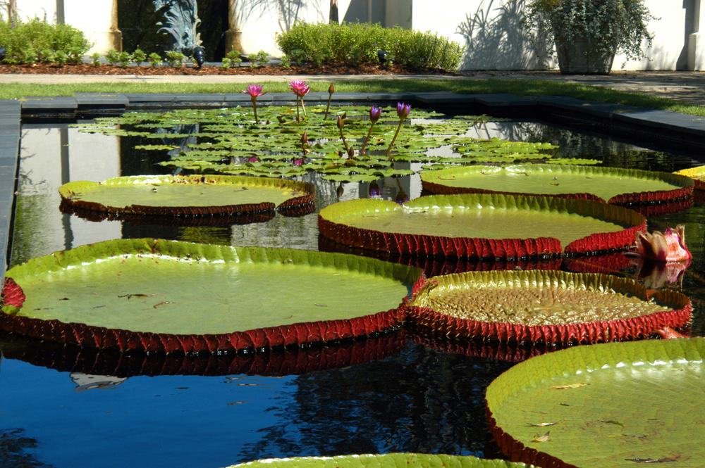 Birmingham Botanical Gardens, Alabama