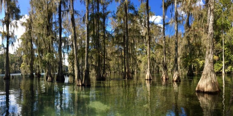 Merritt’s Mill Pond