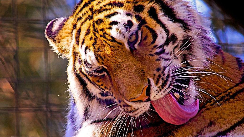 Brandywine Zoo