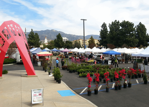 Burbank Farmer’s Market