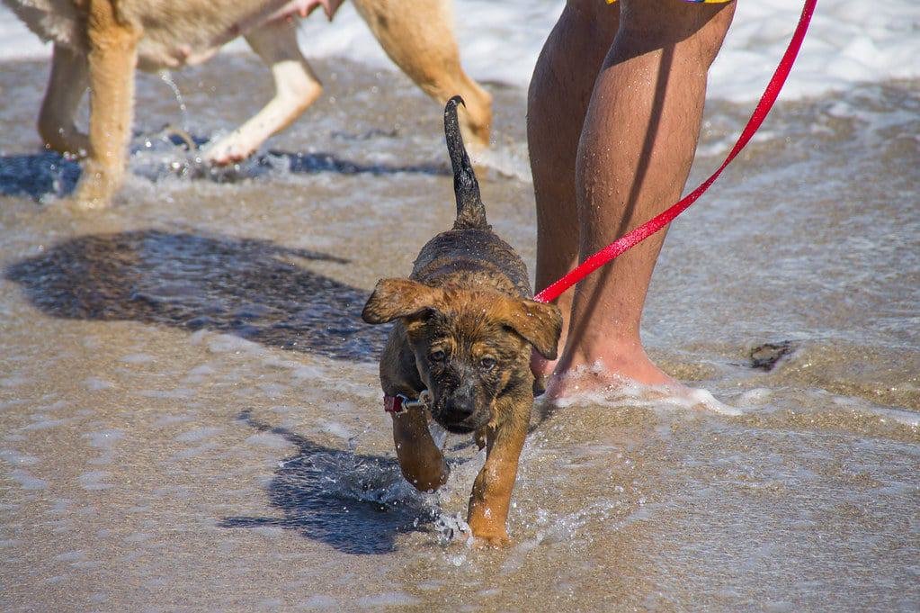 Canova Beach Park