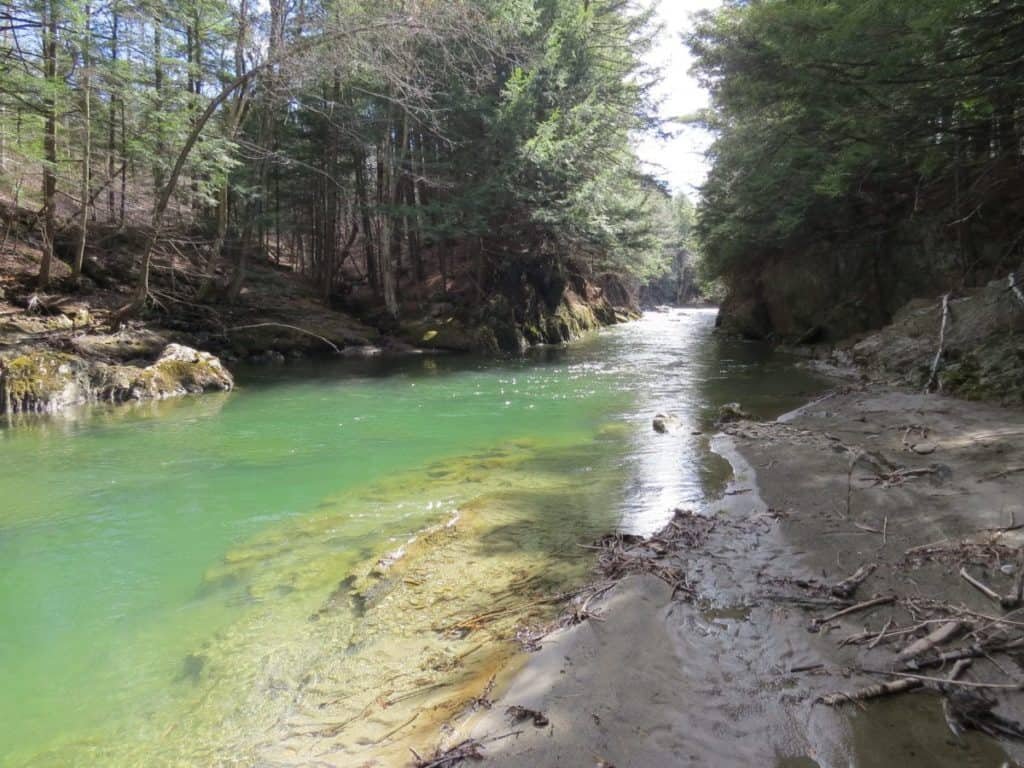 Dog River