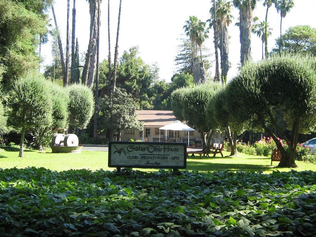 Graber Olive House