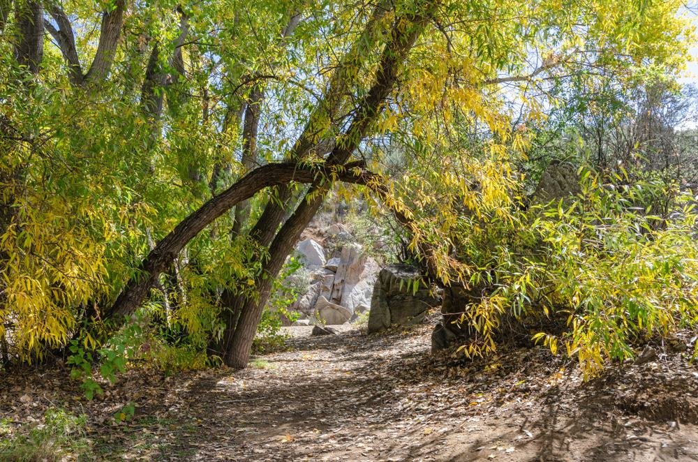 Fain Park