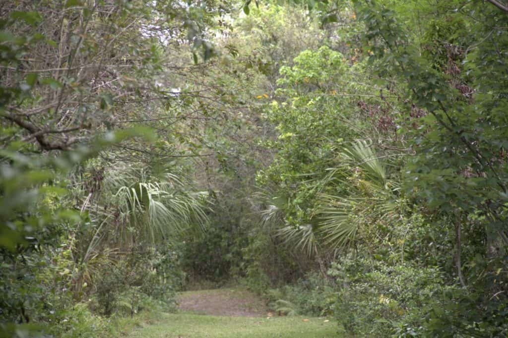Fern Forest Nature Center