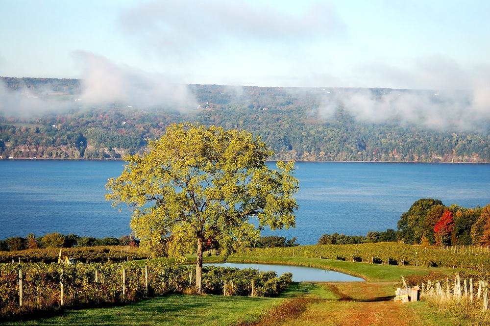 Finger Lakes, New York